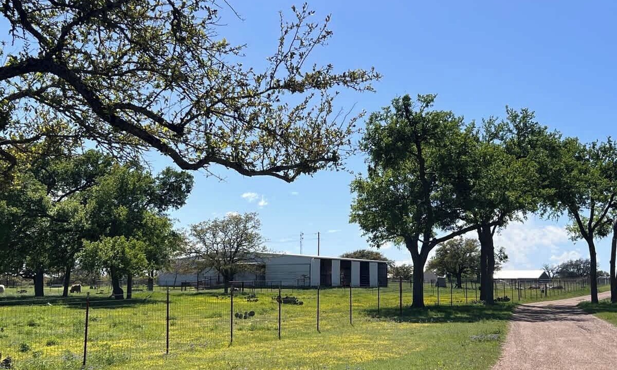 Photo of Outdoor in Burnet