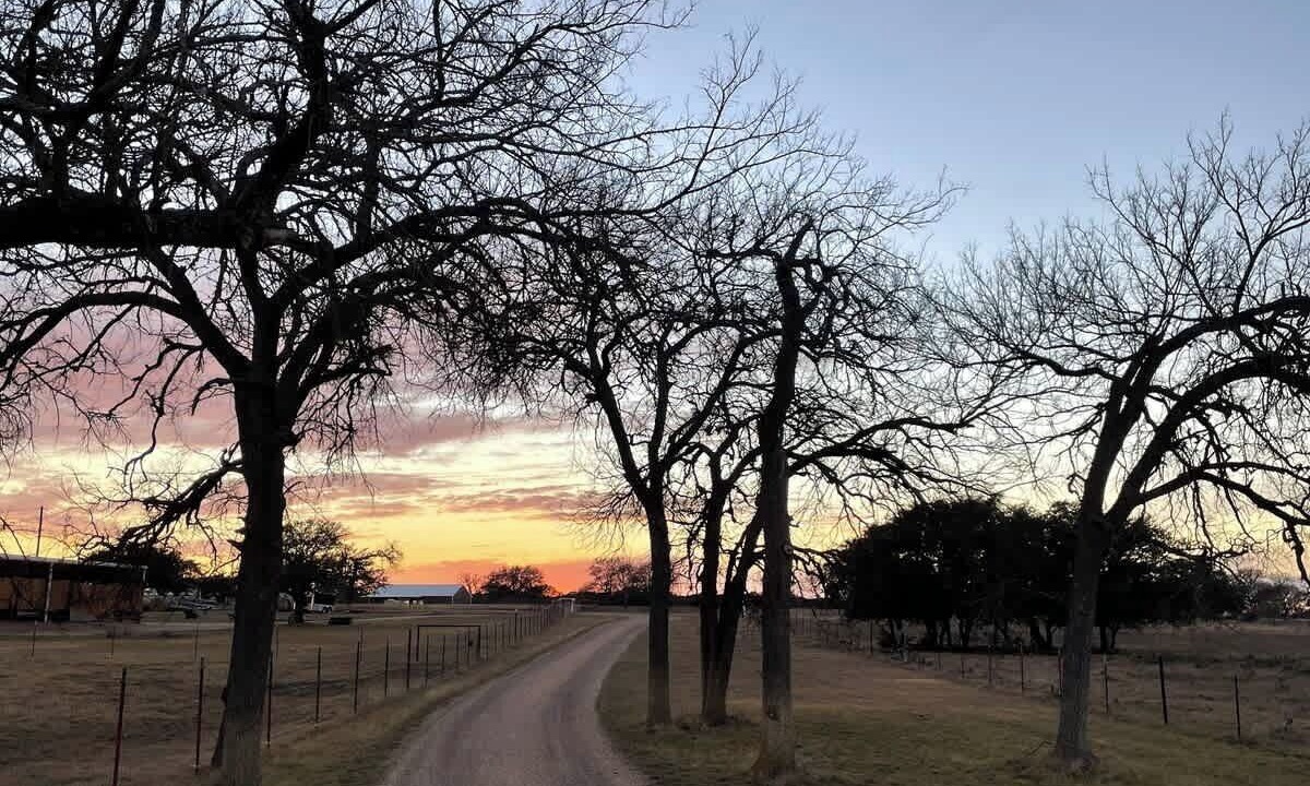 Photo of Others in Burnet