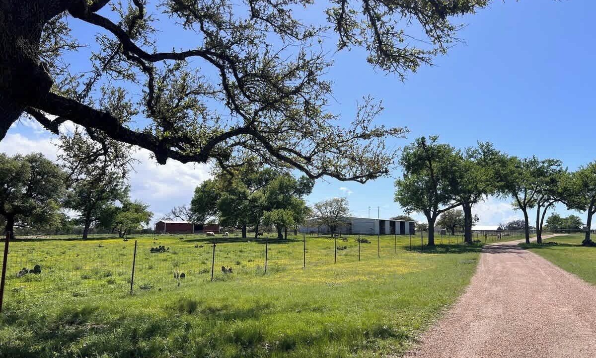 Photo of Others in Burnet