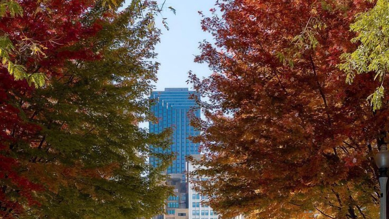 Photo of Others in Albany Park