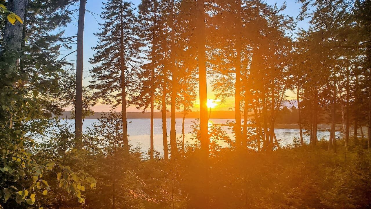 Photo of Others in Steuben