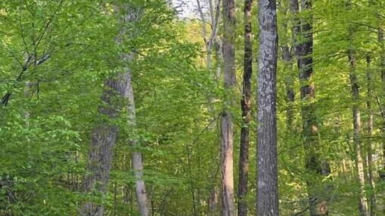 Photo of Others in Newtown