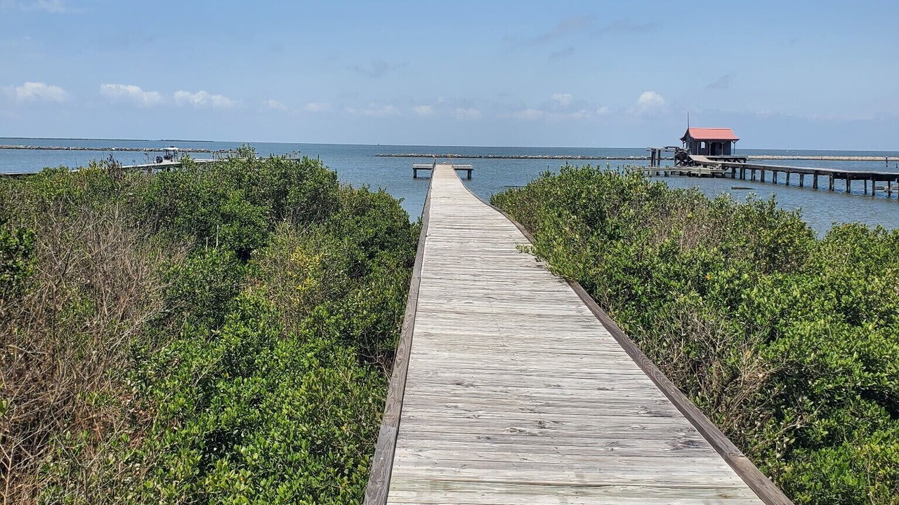 Photo of Others in Grand Isle