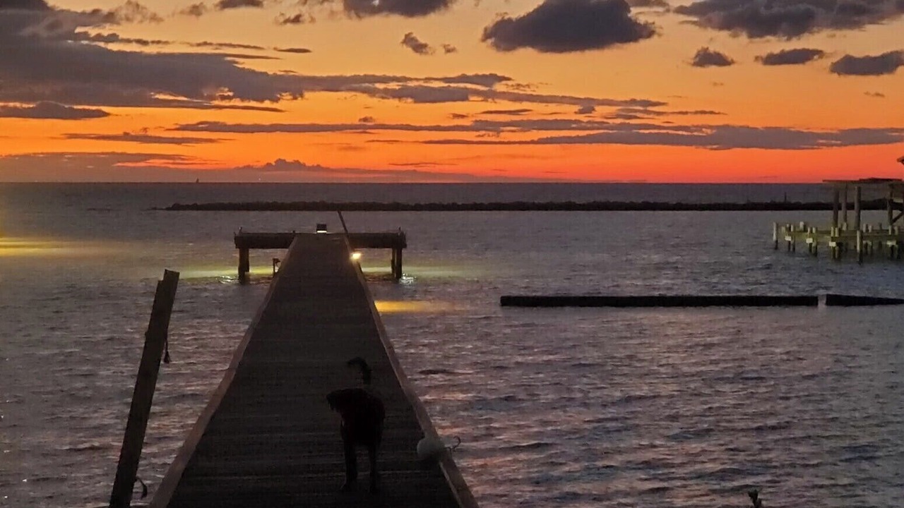 Photo of Others in Grand Isle