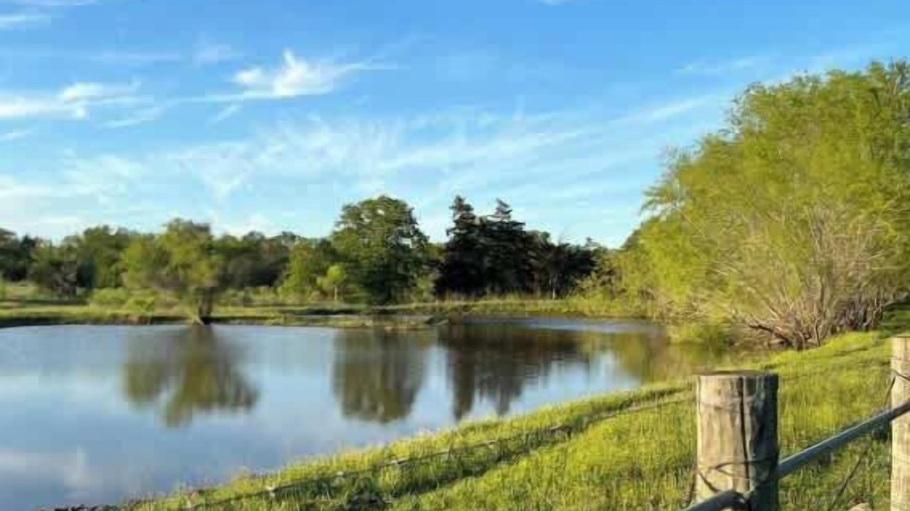 Photo of Others in Cedar Creek