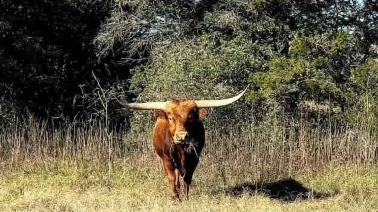 Photo of Others in Cedar Creek