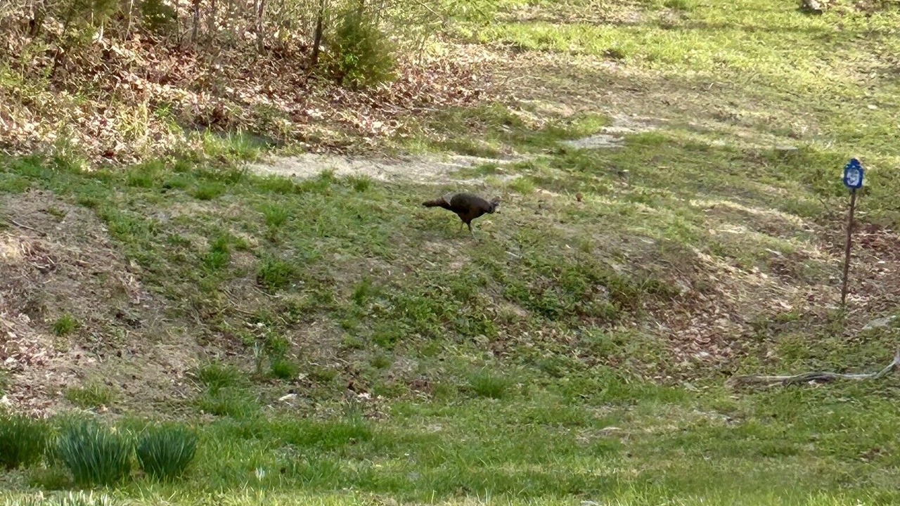 Photo of Others in Mount Holly