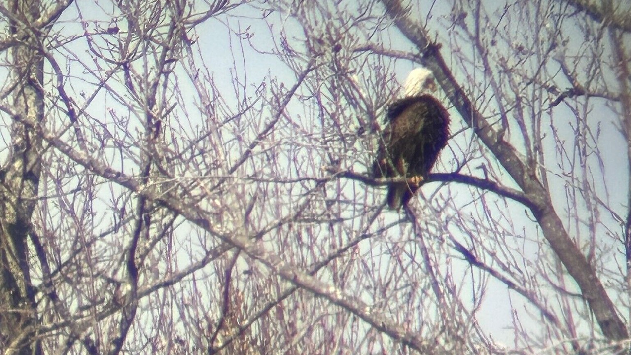 Photo of Others in Mount Holly
