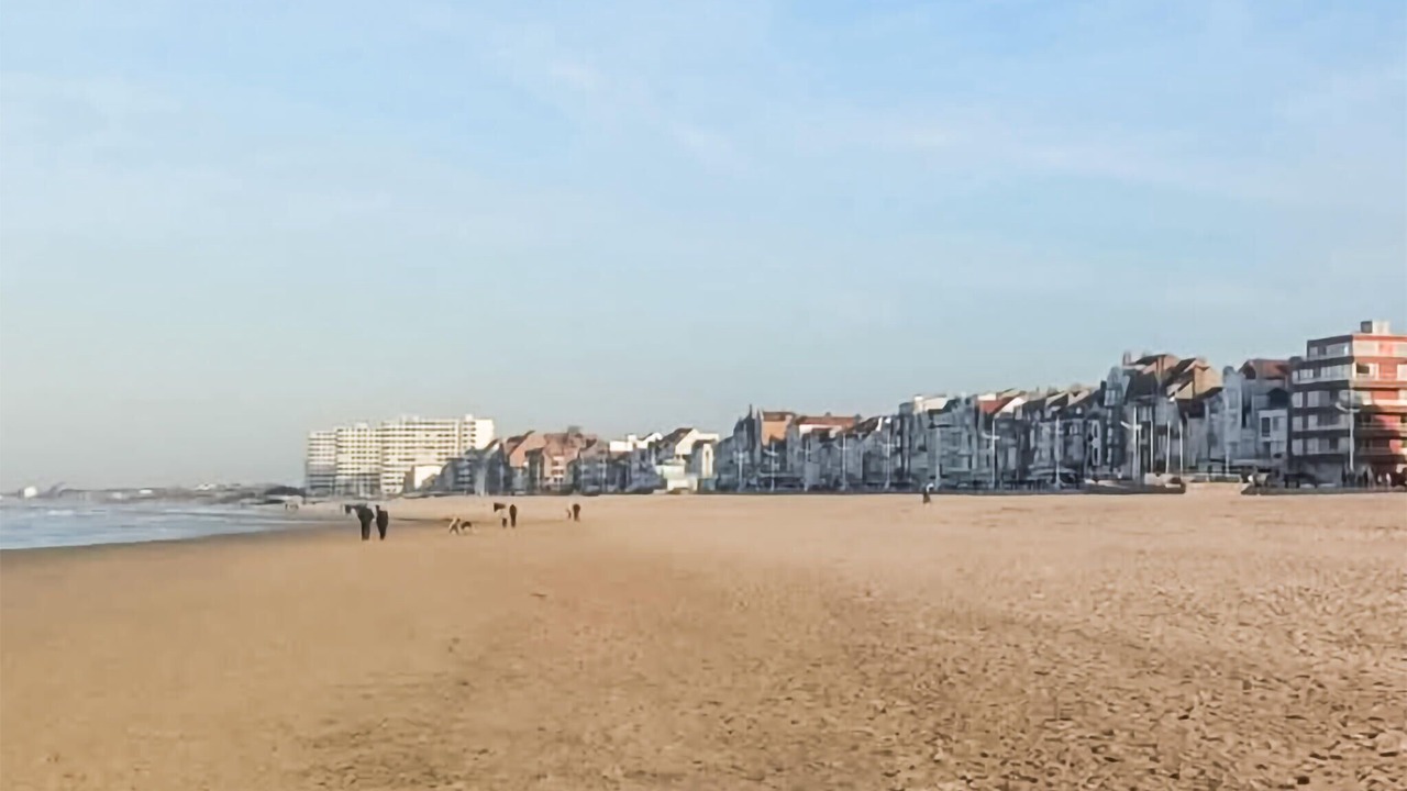 Photo of Others in Bray-Dunes