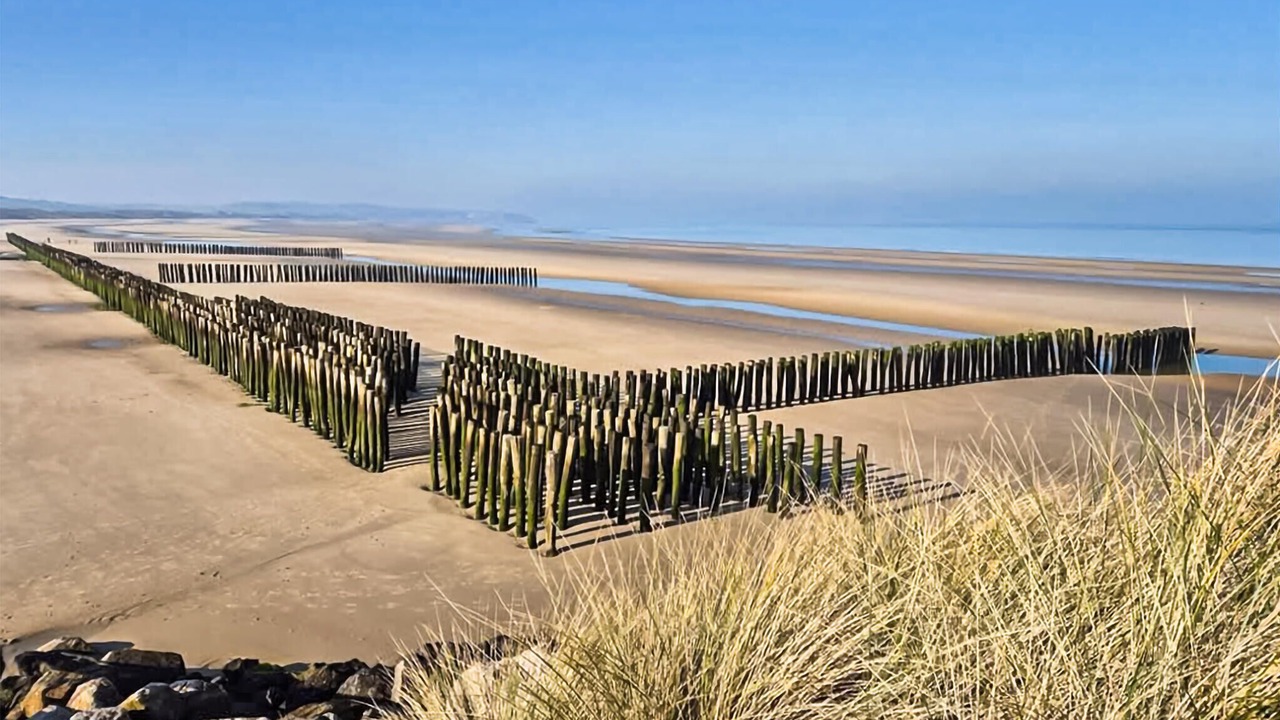 Photo of Others in Bray-Dunes