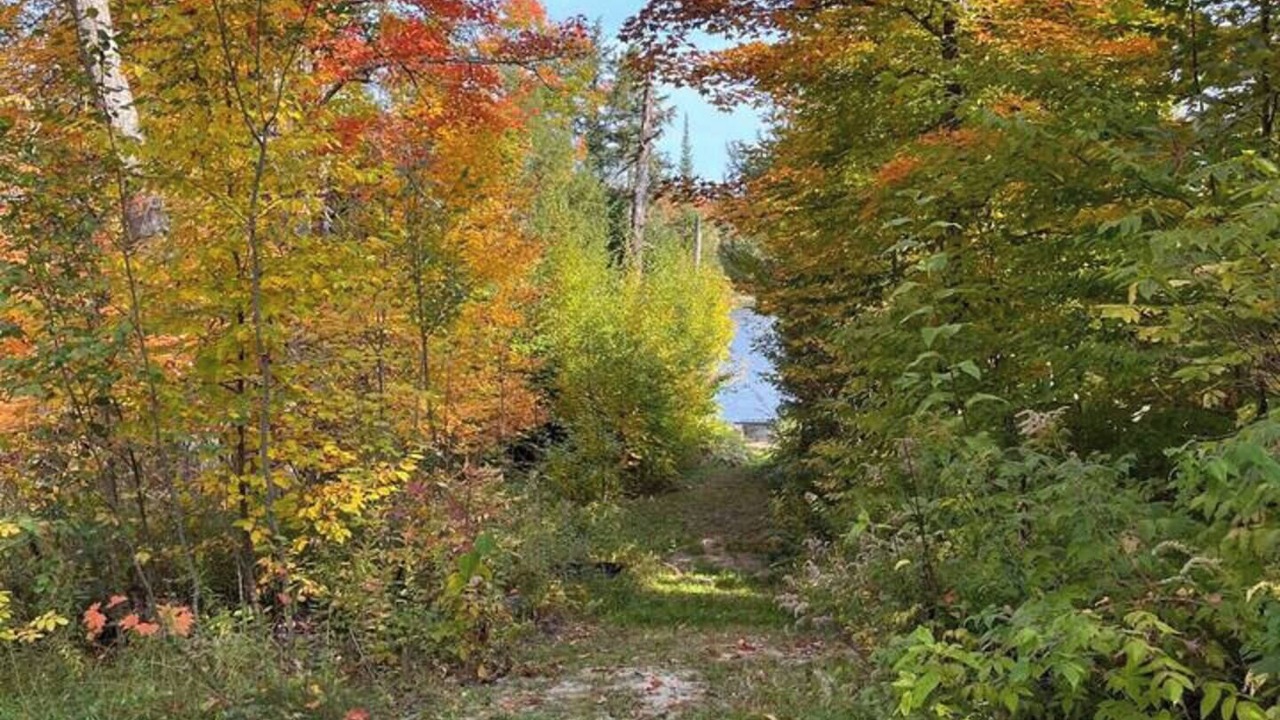 Photo of Others in South River