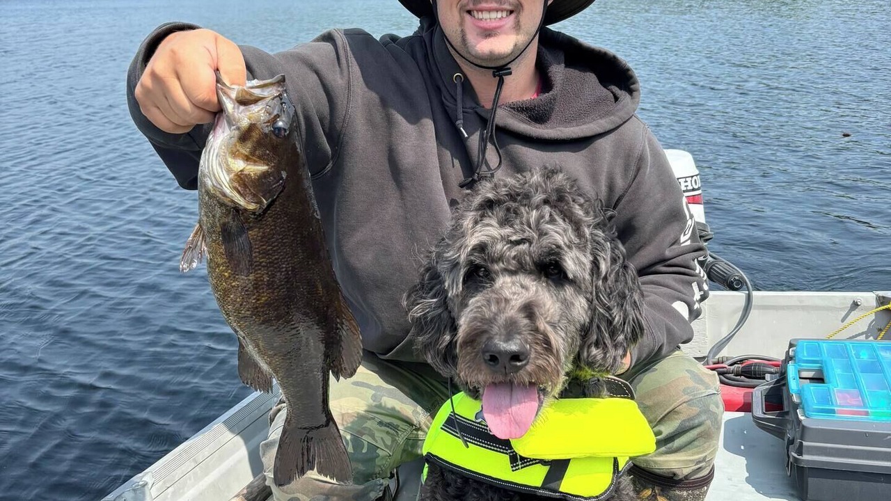 Photo of Others in South River