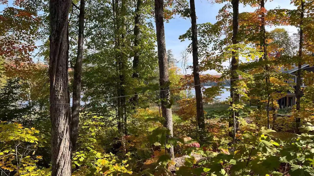 Photo of Others in South River