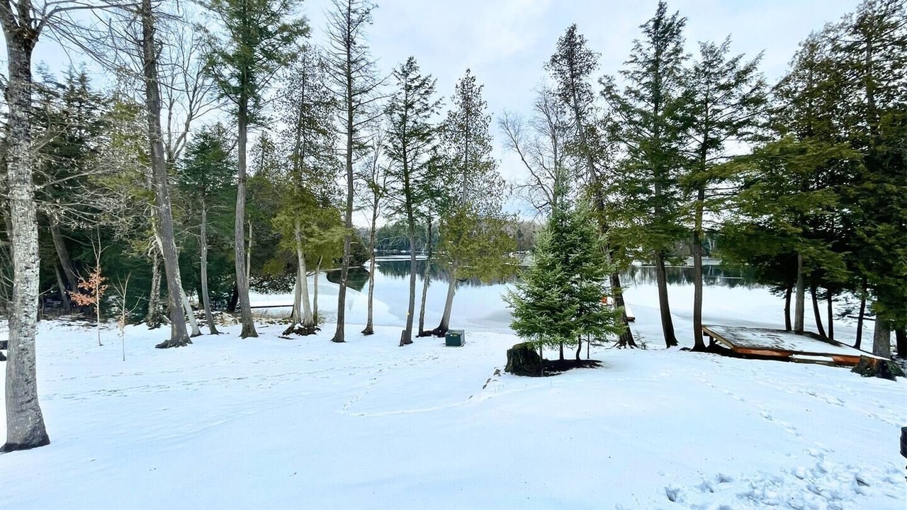 Photo of Others in South River