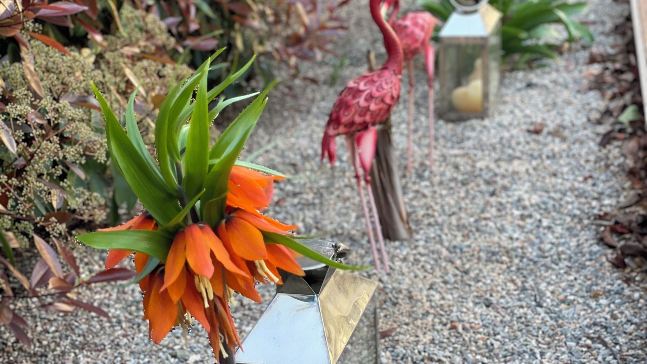 Photo of Outdoor in Saint-Genis