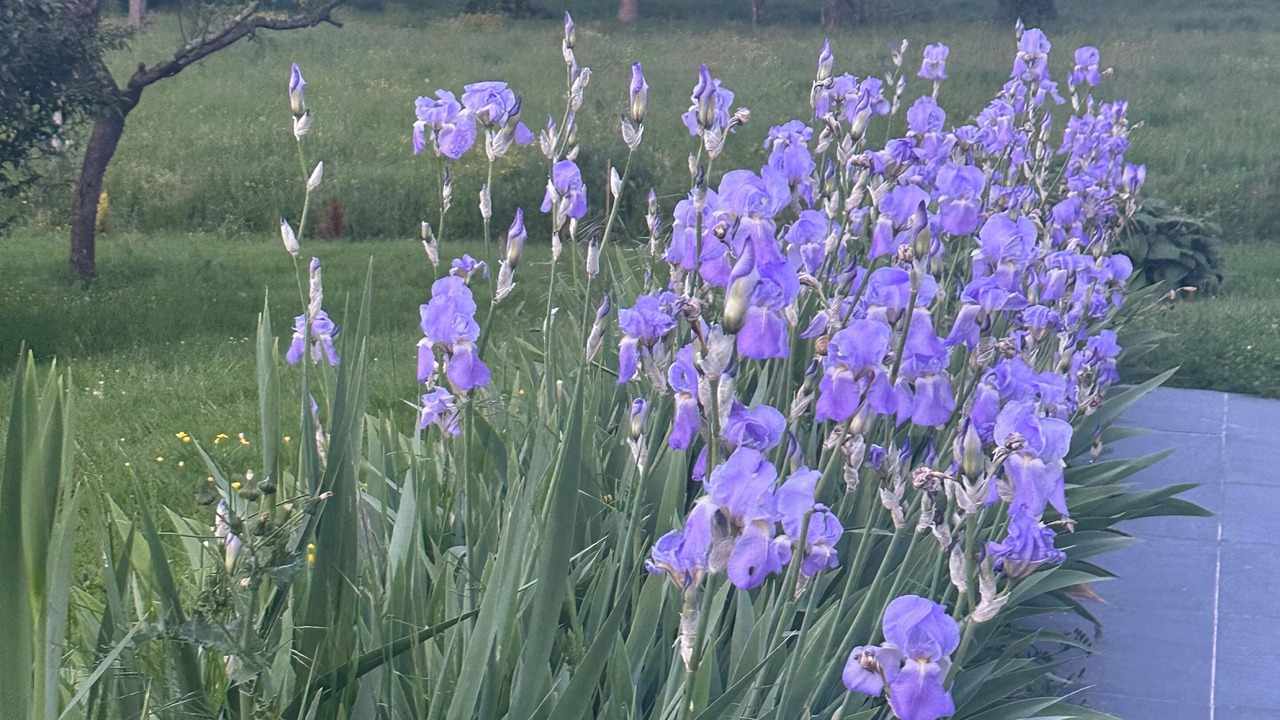 Photo of Outdoor in Ganties