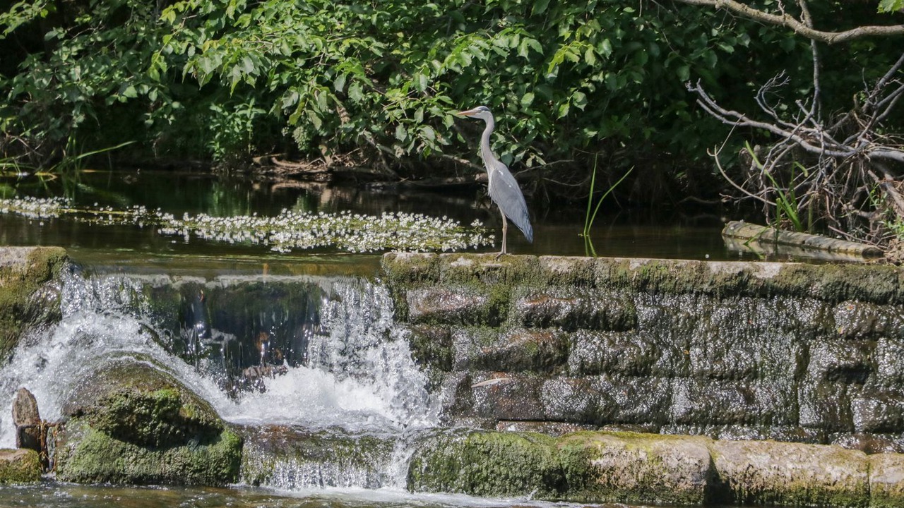 Photo of Others in Eamont Bridge