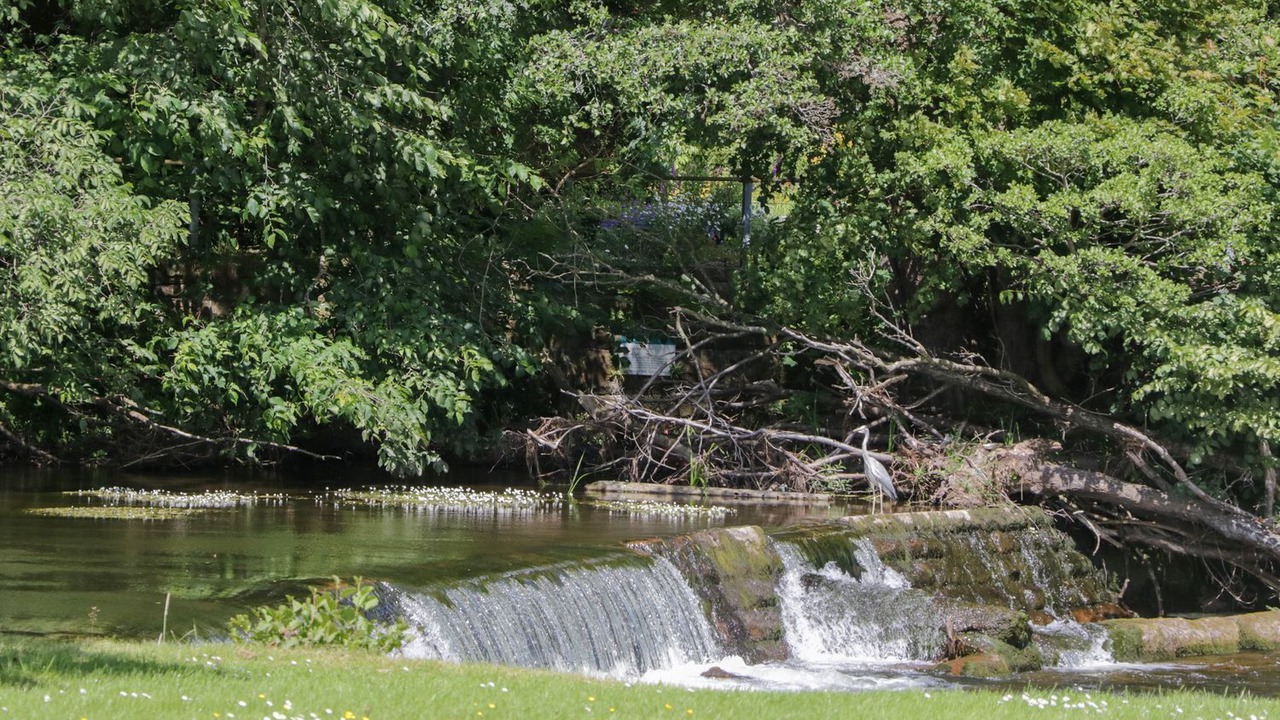 Photo of Others in Eamont Bridge