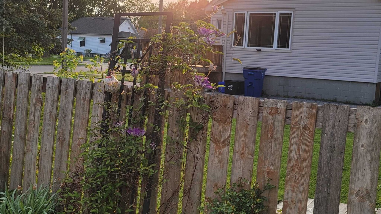 Photo of Outdoor in Chatham-Kent
