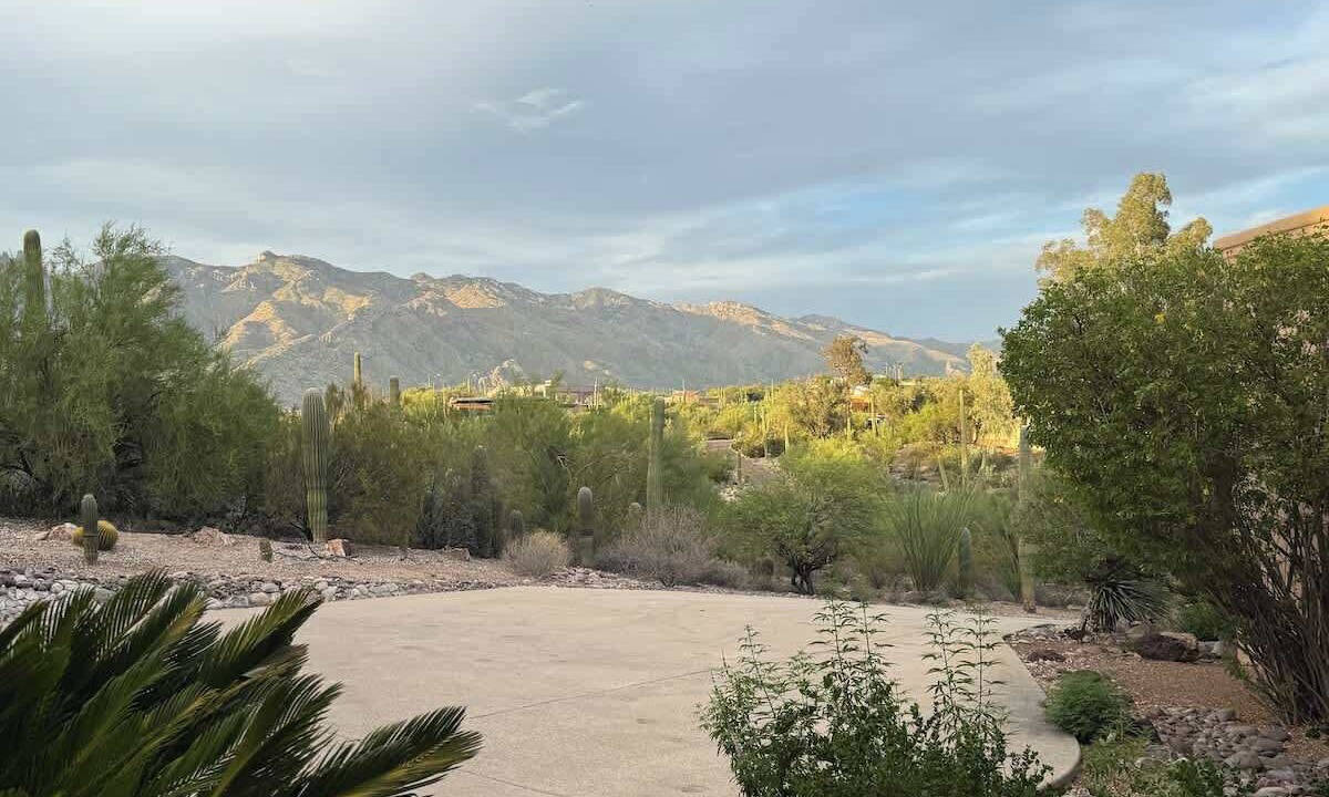 Photo of Outdoor in Catalina Foothills Estates