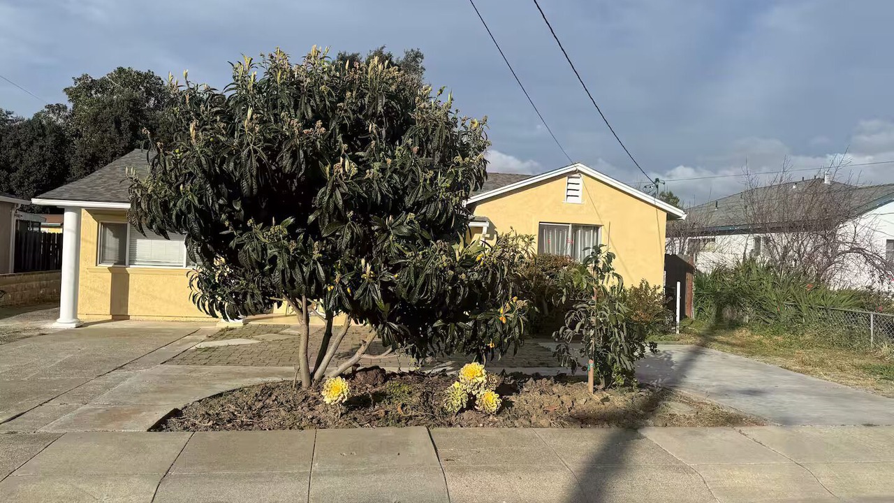 Photo of Outdoor in Centerville