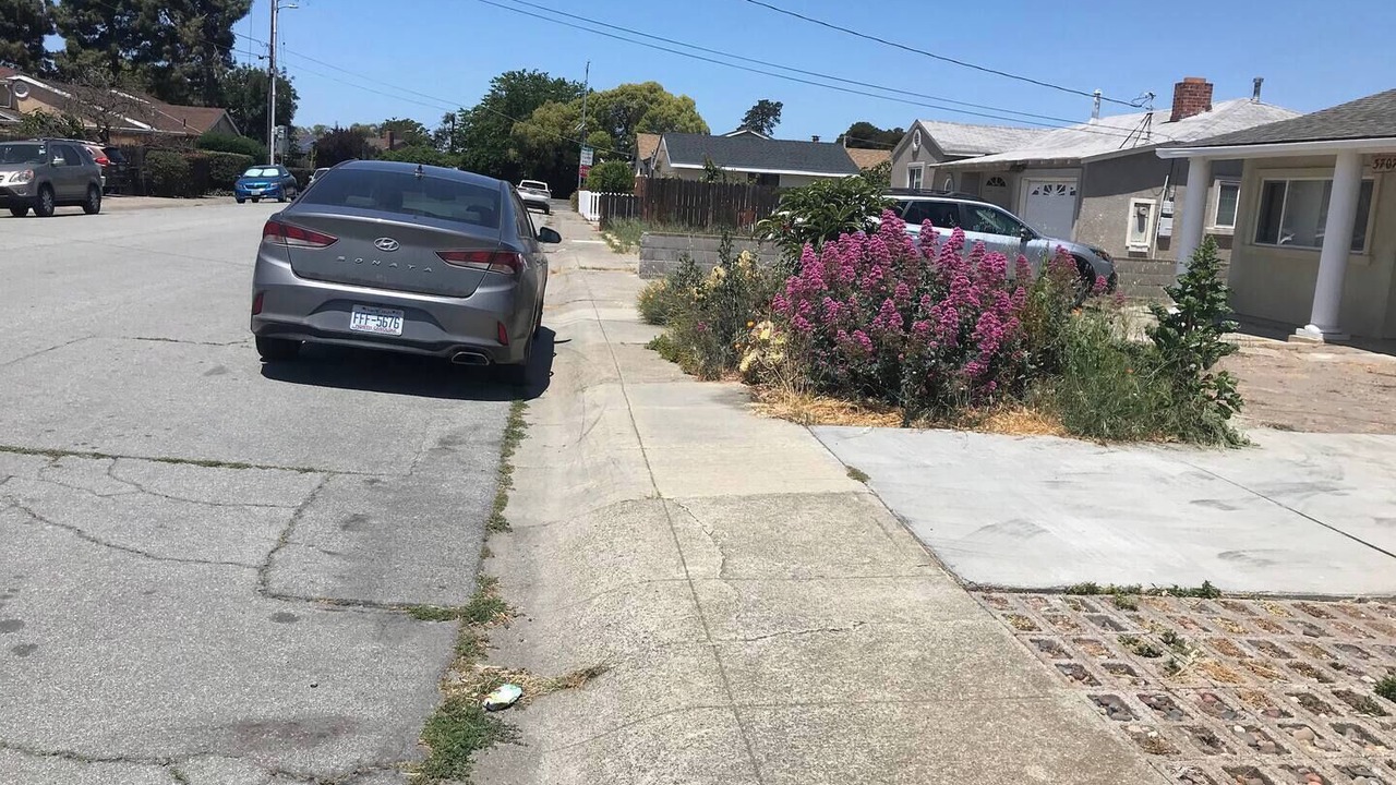 Photo of Outdoor in Centerville