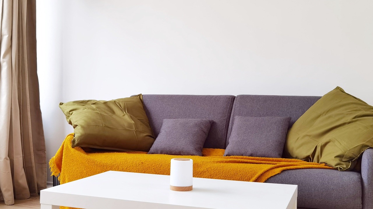 Photo of Livingroom in Vanves