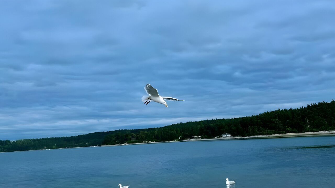 Photo of Outdoor in Oak Harbor