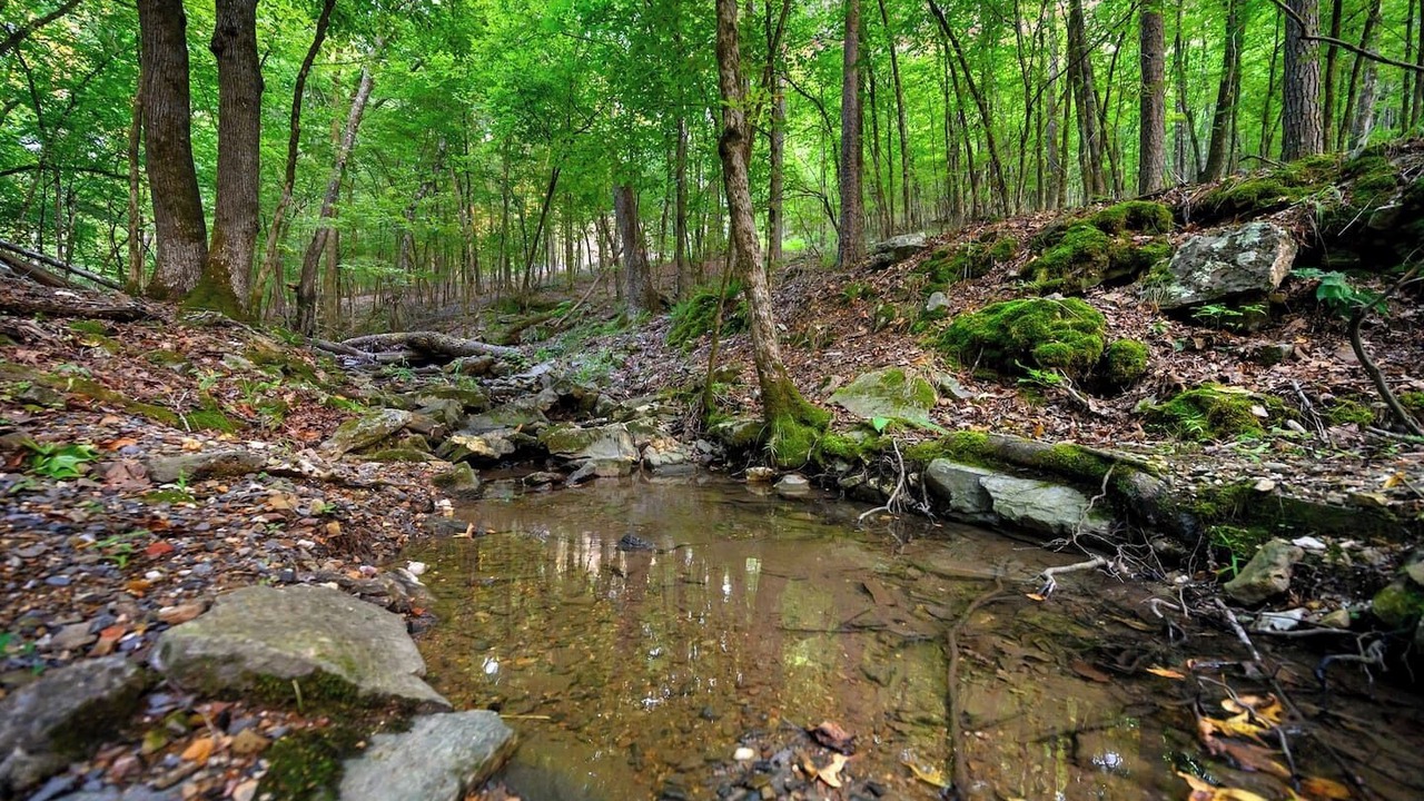 Photo of Others in Broken Bow