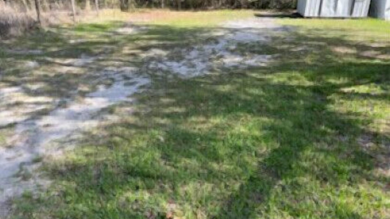 Photo of Others in Umatilla
