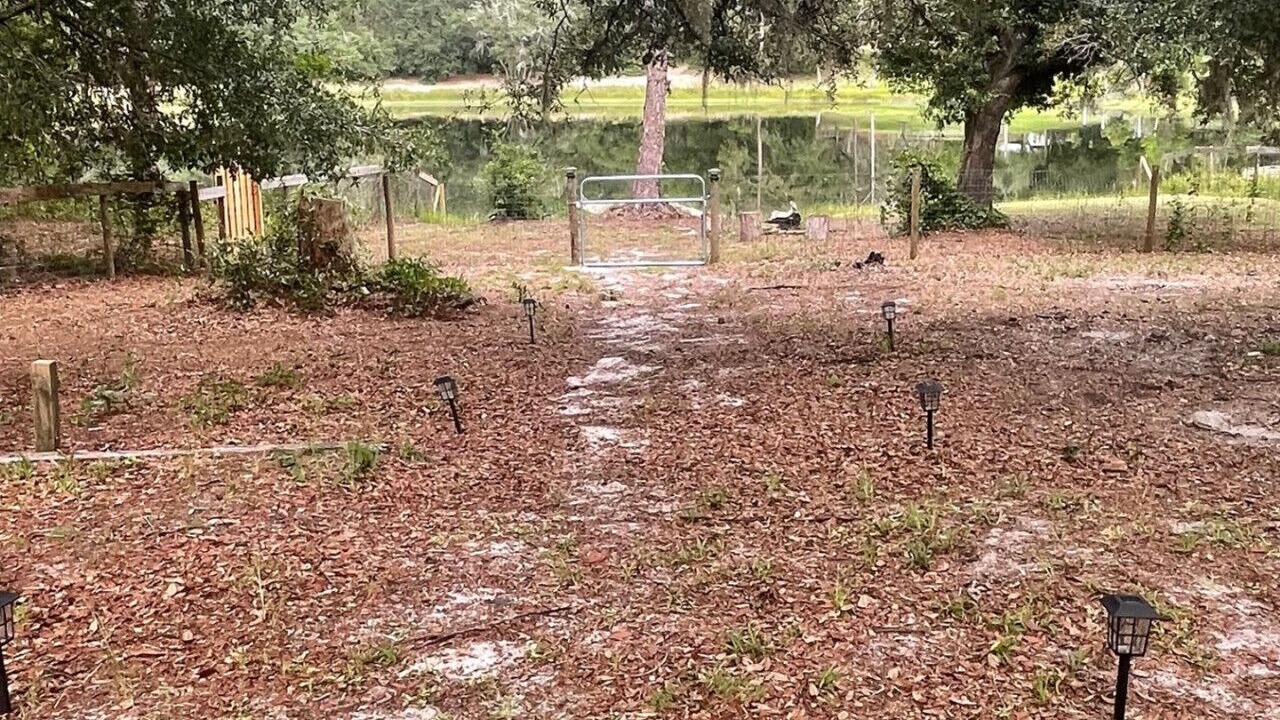 Photo of Outdoor in Umatilla