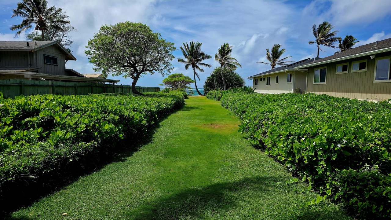 Photo of Outdoor in Hauula
