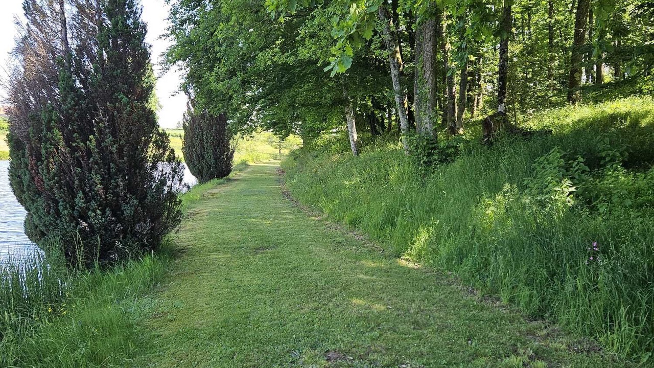 Photo of Outdoor in Arpheuilles-Saint-Priest