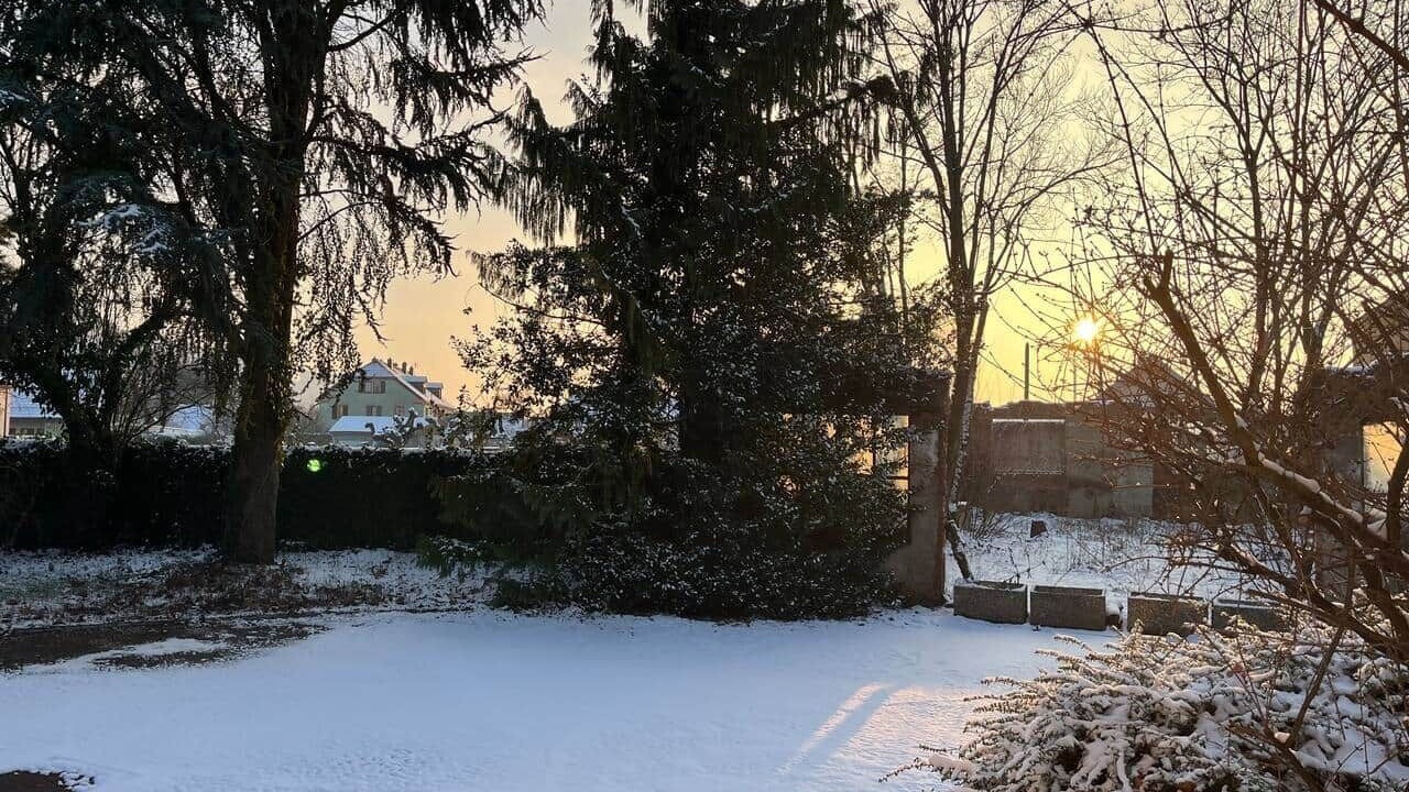 Photo of Outdoor in Thann