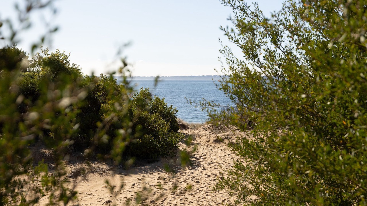 Photo of Others in Ventnor