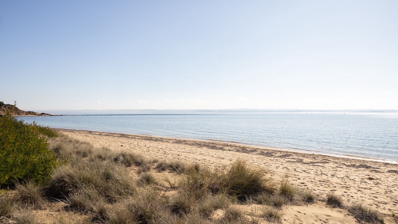 Photo of Others in Ventnor