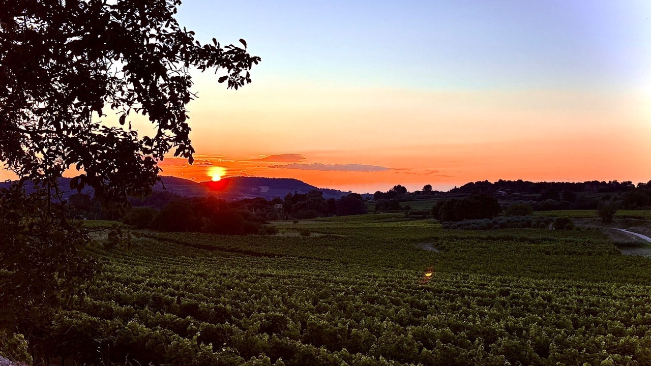 Photo of Others in Faucon