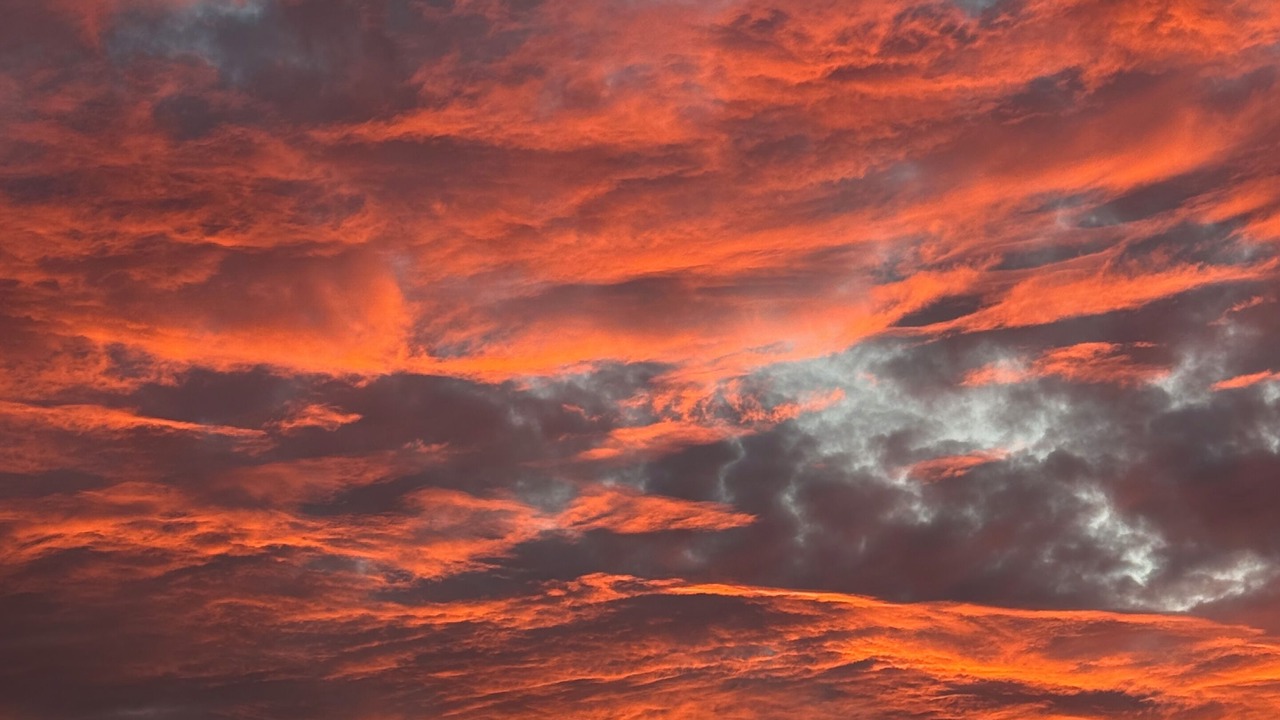 Photo of Others in Half Moon Bay