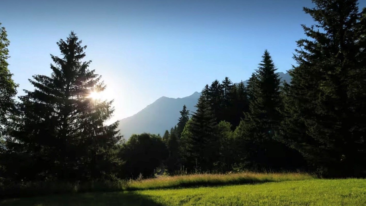Photo of Others in Ormont-Dessus