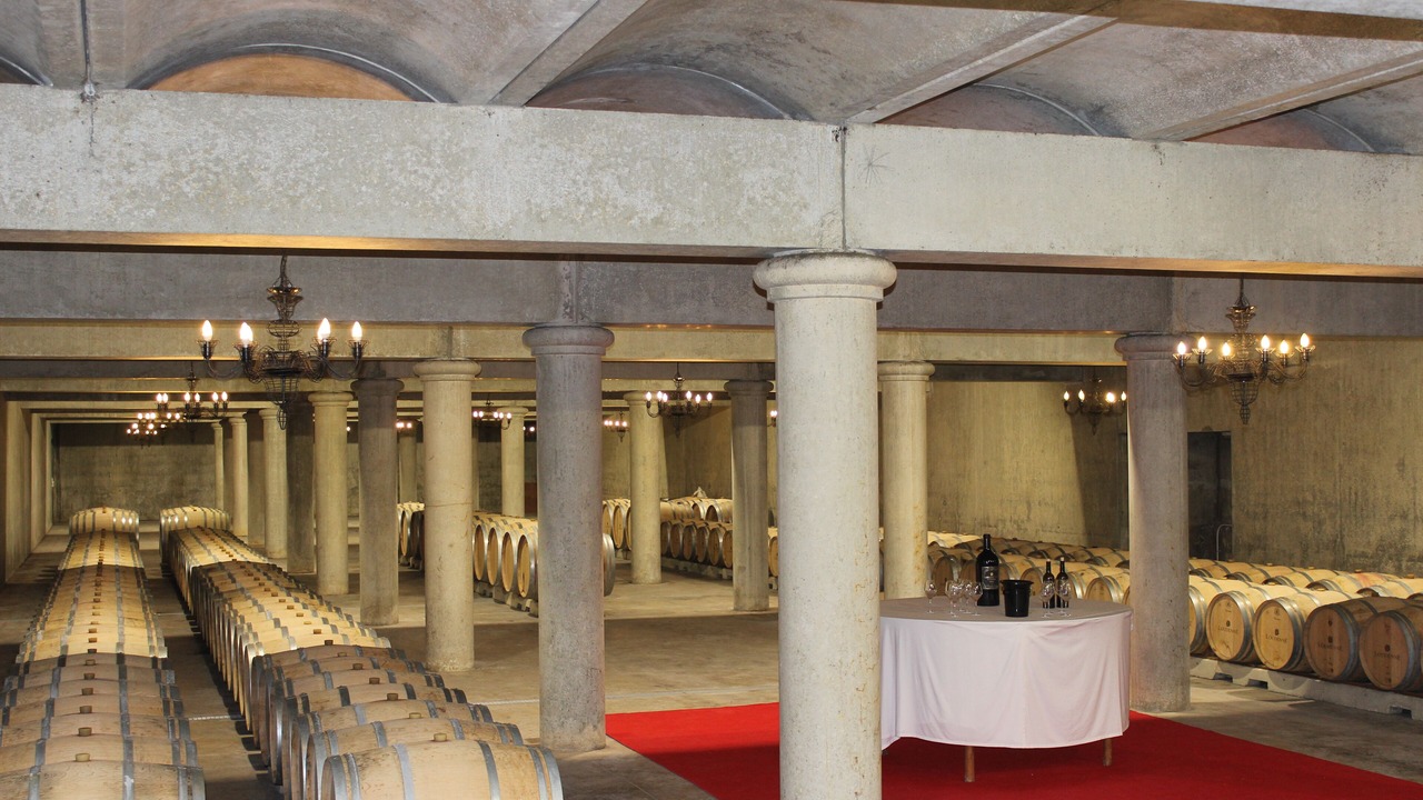 Photo of Others in Saint-Yzans-de-Medoc