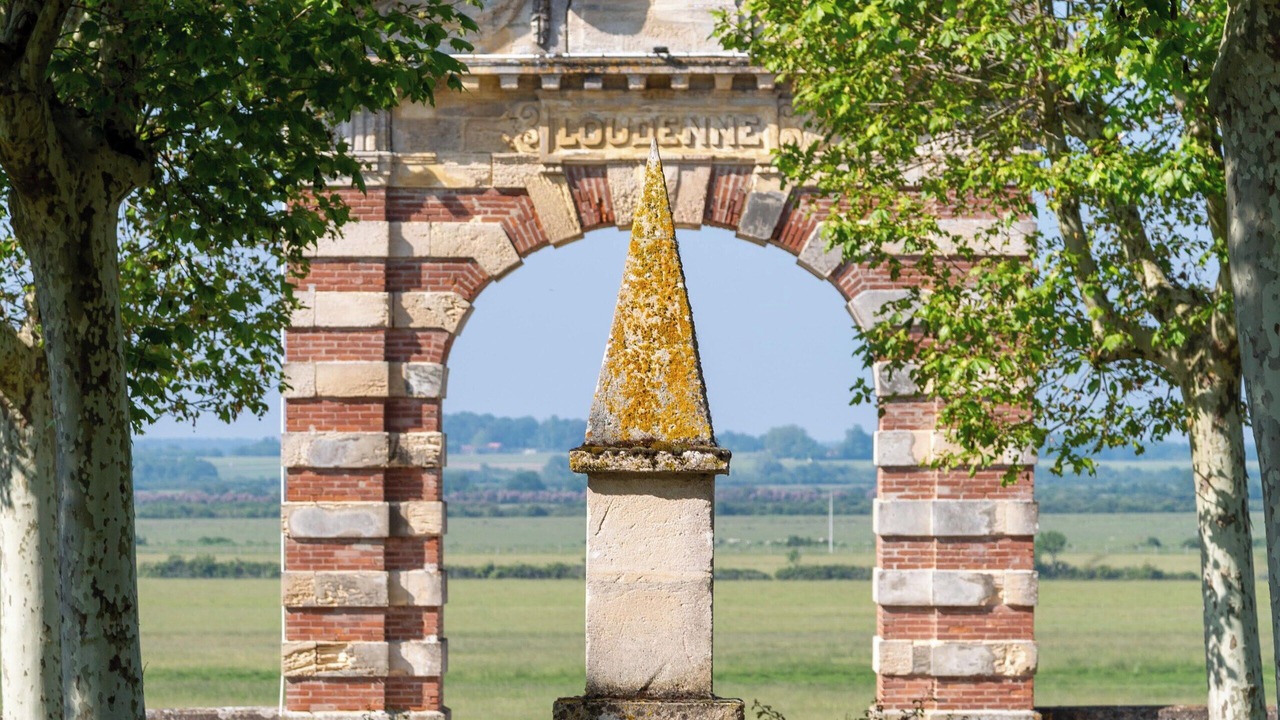 Photo of Others in Saint-Yzans-de-Medoc