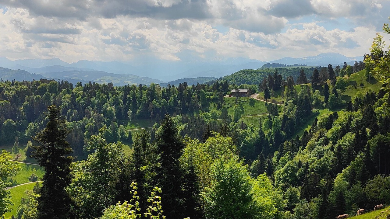 Photo of Others in Mosnang