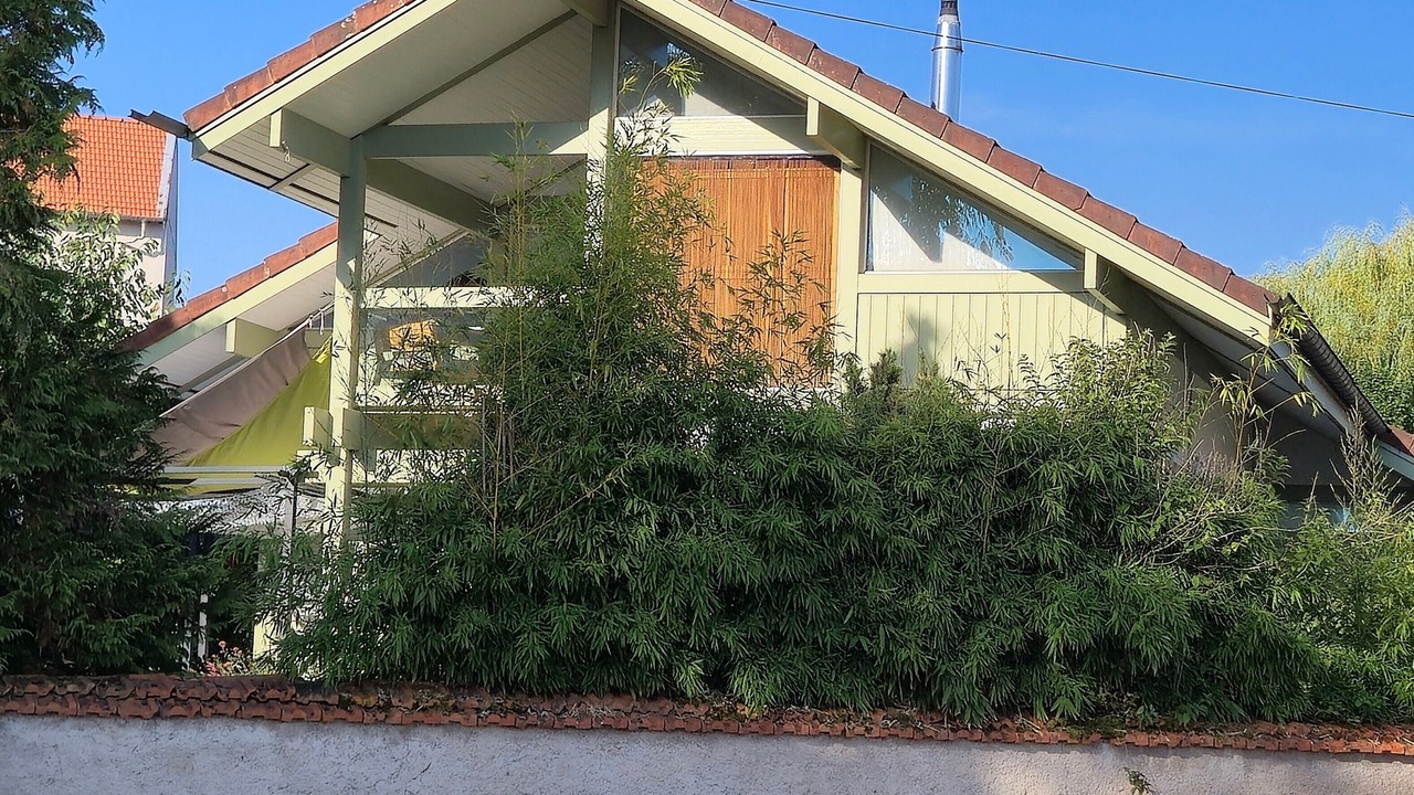 Photo of Outdoor in Charmes