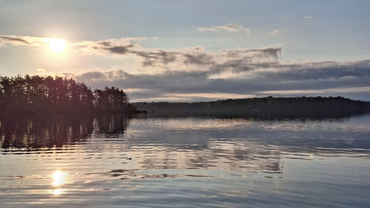 Photo of Others in MacTier