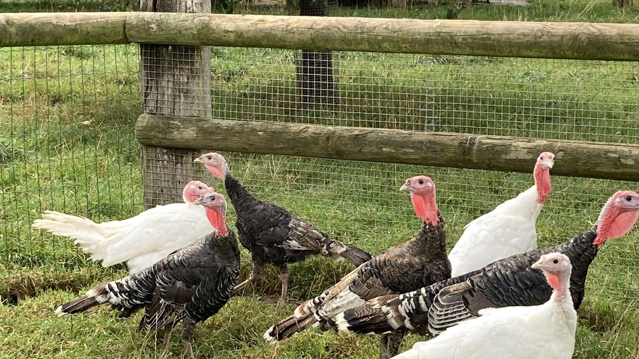 Photo of Others in Cleville