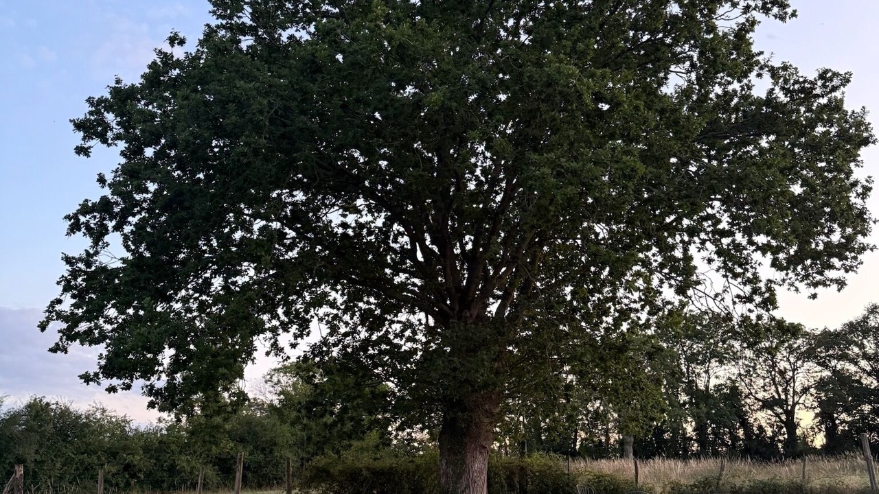 Photo of Outdoor in St-Hilaire-la-Gerard