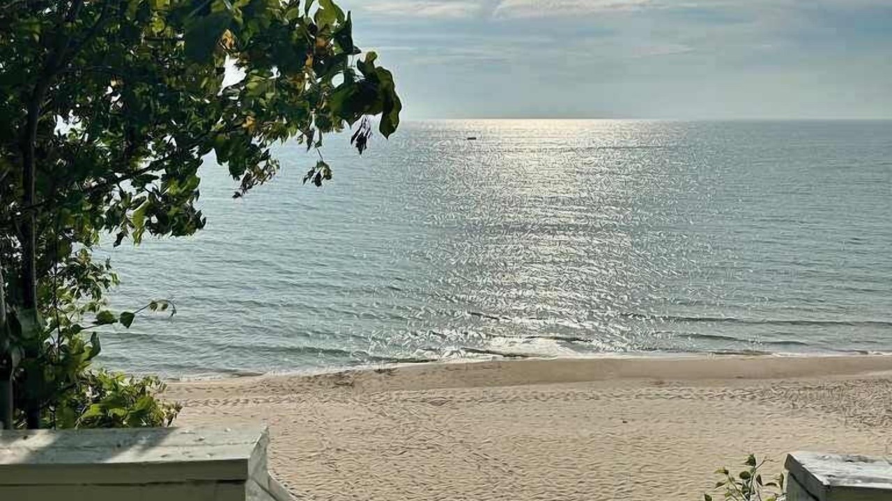 Photo of Others in Port Sheldon