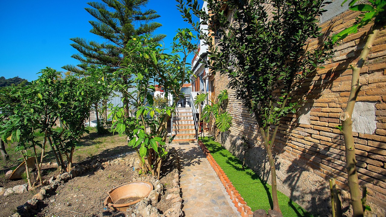 Photo of Outdoor in Benifallet