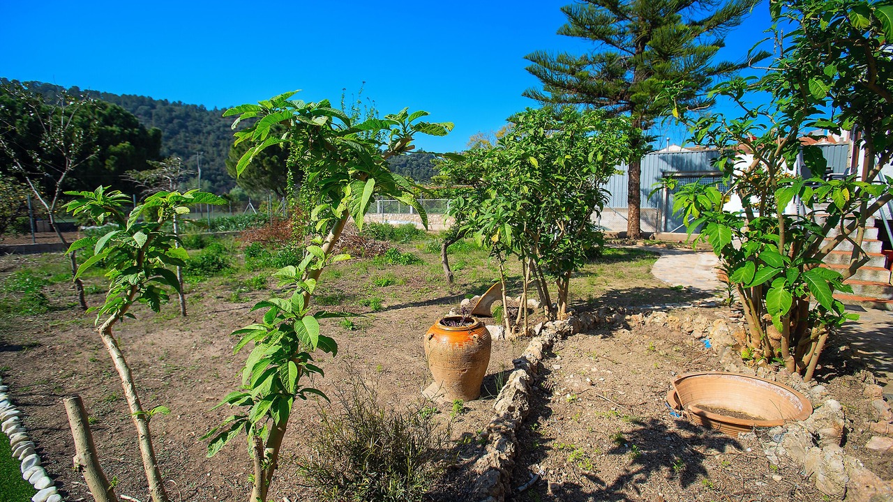 Photo of Outdoor in Benifallet