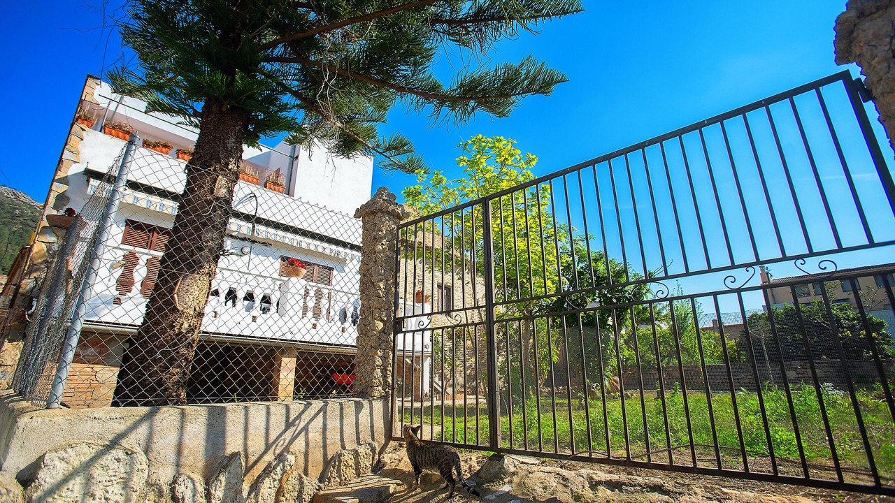 Photo of Outdoor in Benifallet